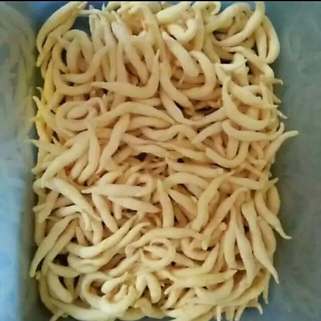 Kue Ladu Telur Gabus Kopong 250 Gram